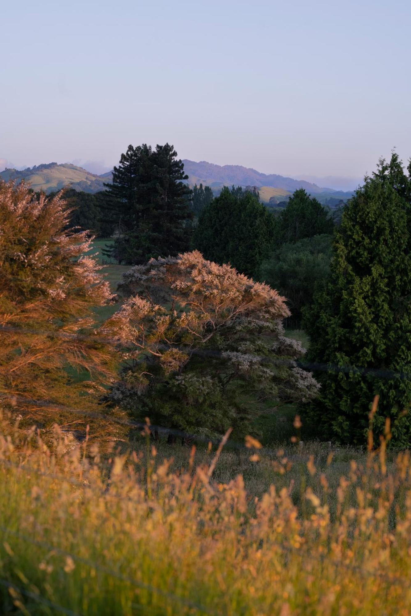 Willa Ranginui Retreat Masterton Zewnętrze zdjęcie